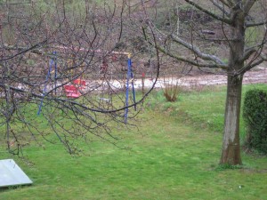 Img_1315