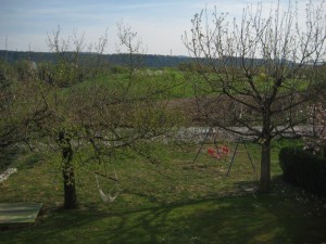 Img_2881